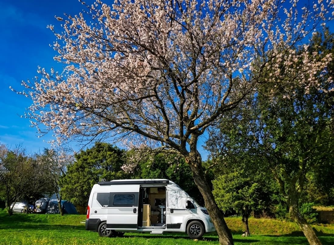 Large motorhome pitch in Southern Ardèche
