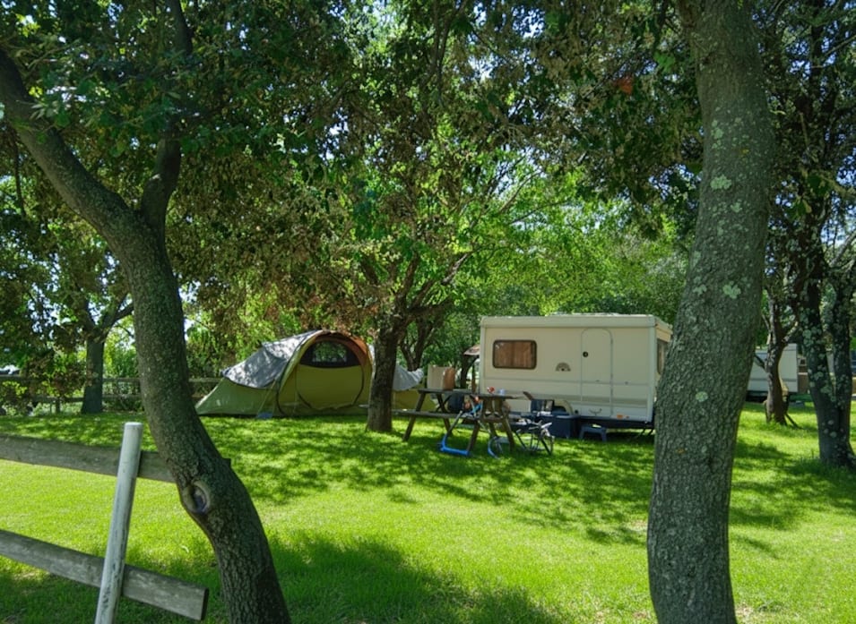 View of our very large green pitches in South Ardèche
