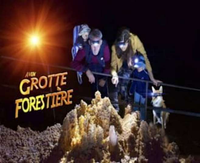 aven grotte forestière
