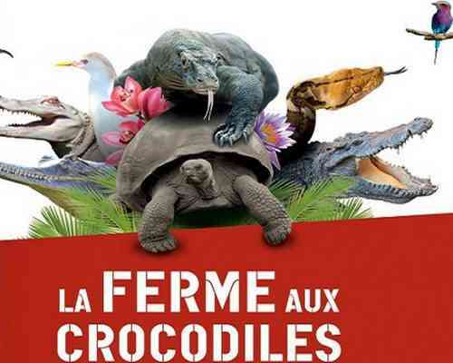 Die Krokodilfarm