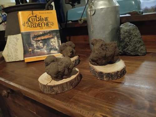 campeggio con ristorante in ardeche